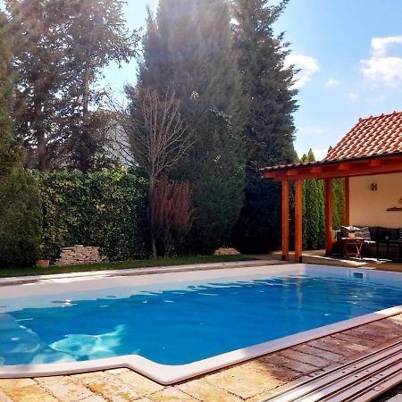 Canadian Style House With 3D Effect Pool Vinosady Εξωτερικό φωτογραφία