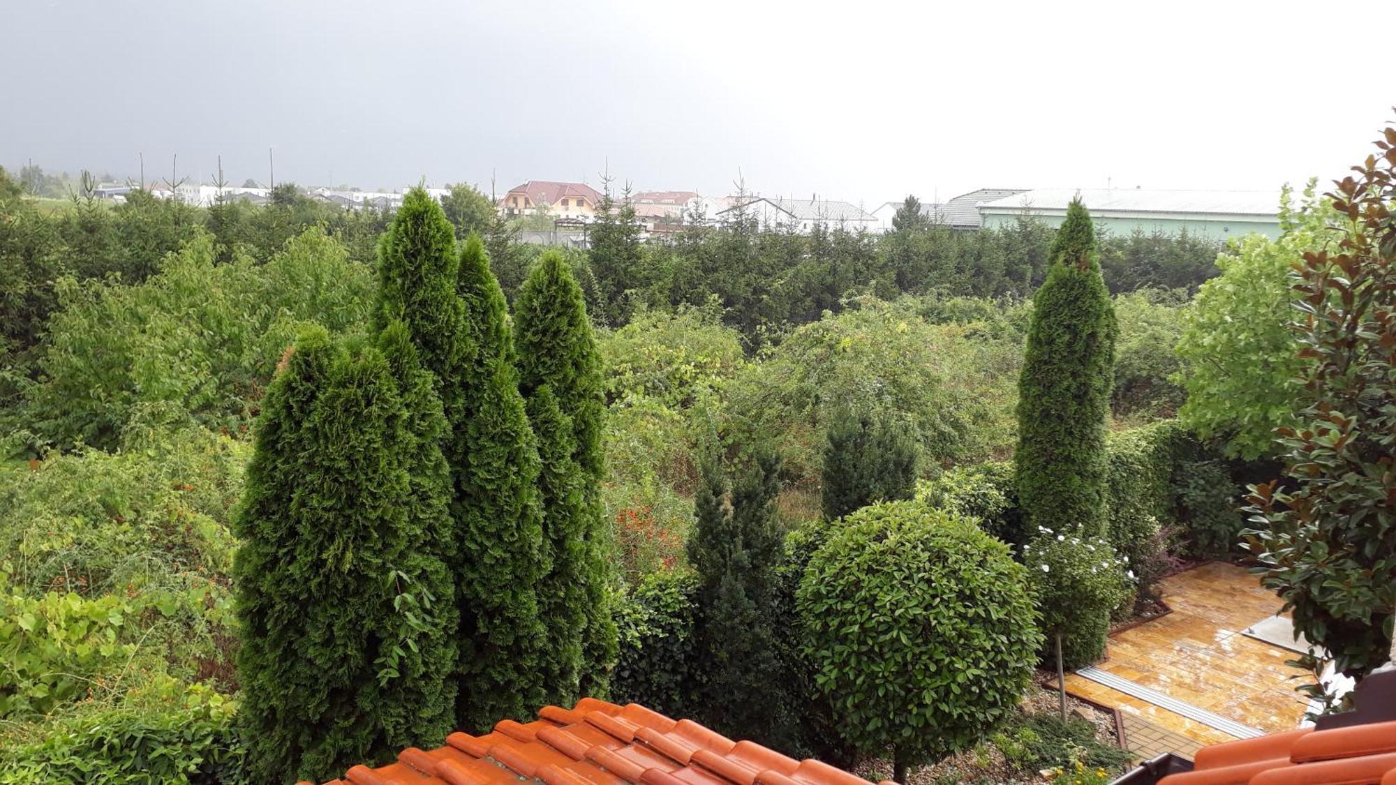 Canadian Style House With 3D Effect Pool Vinosady Εξωτερικό φωτογραφία
