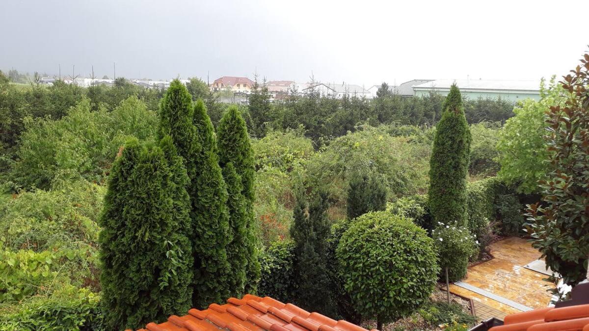Canadian Style House With 3D Effect Pool Vinosady Εξωτερικό φωτογραφία